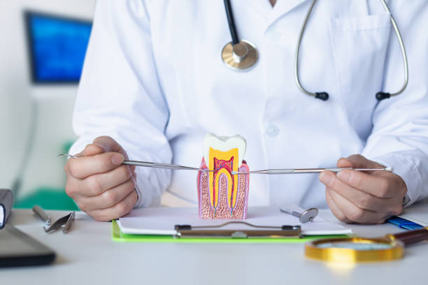 Best Pediatric Emergency Dentist in Newport, OH
